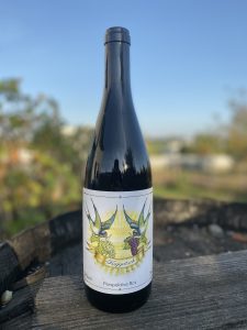 PERSPEKTIVE KOPPITSCH